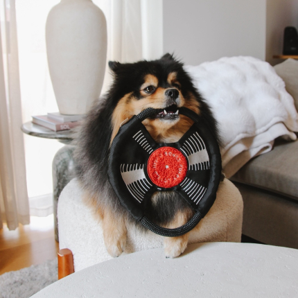 Lambwolf Zabawka węchowa Bark to Beat płyta winylowa